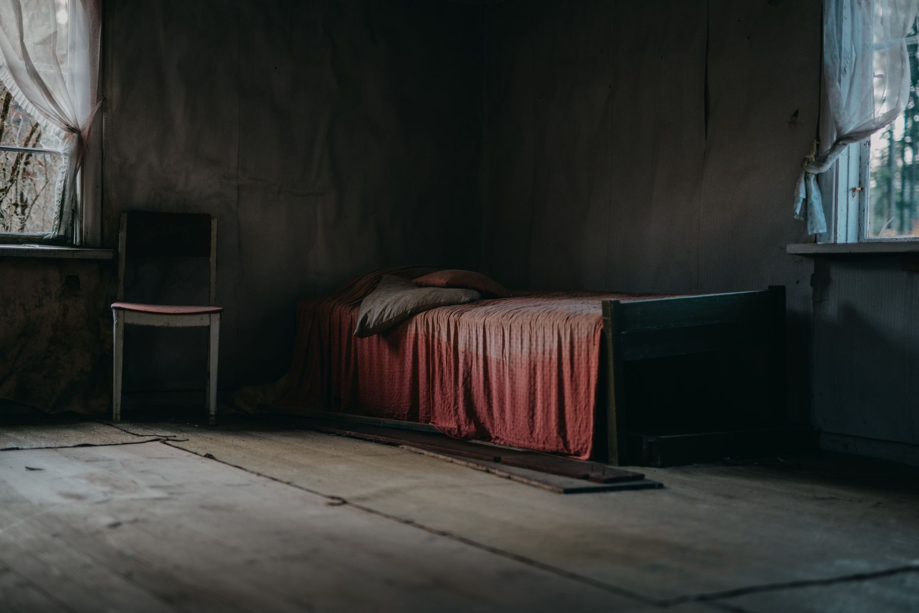 Traitement punaises de lit à Lyon